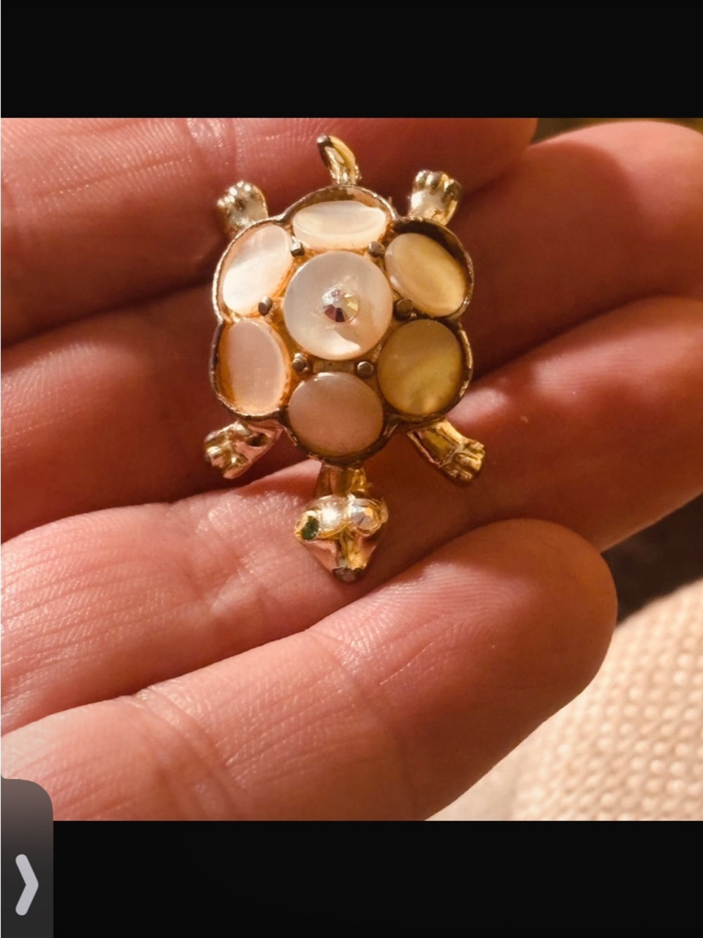 Turtle mother of pearl brooch